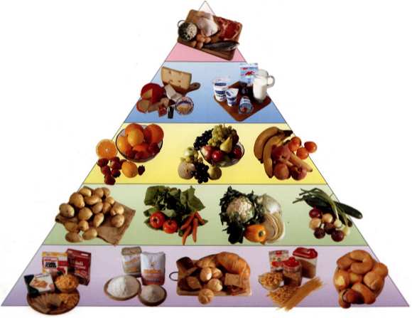 Piramida zdrowego �ywienia